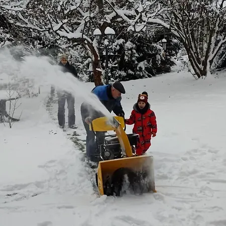 - Tu Mir Gut דירה