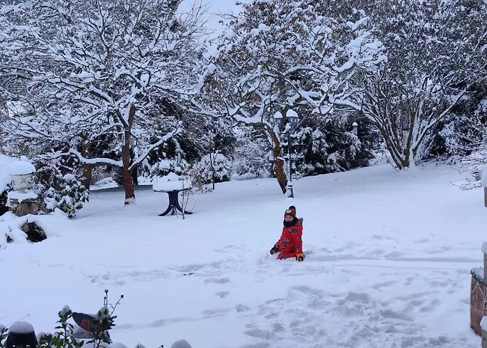 Apartman - Tu Mir Gut